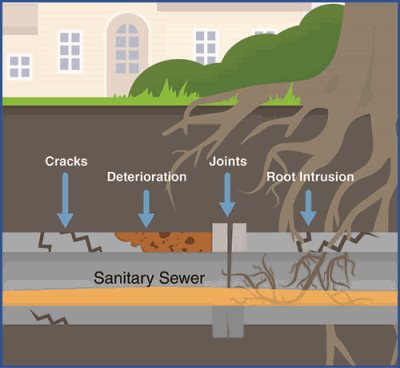 Illustration of possible problems, from cracks to deterioration to joints to root intrusion.