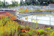 Plant Water Tanks 