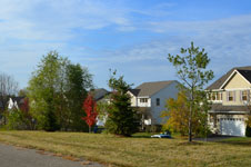 Homes and trees in a residential area.